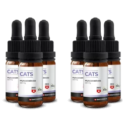 OLIO DI CBD PER GATTI 10ML